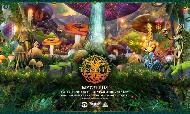 Tree of Life Festival 2022 – 10 Year Anniversary