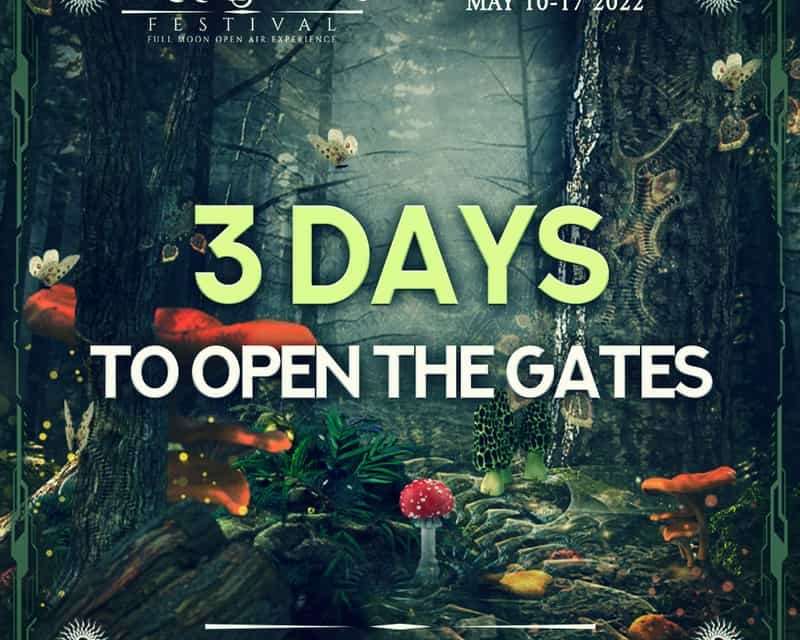 Transition Festival 2022