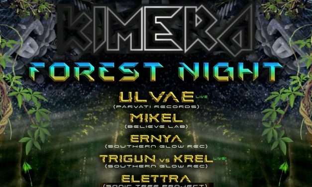 KIMERA FOREST NIGHT