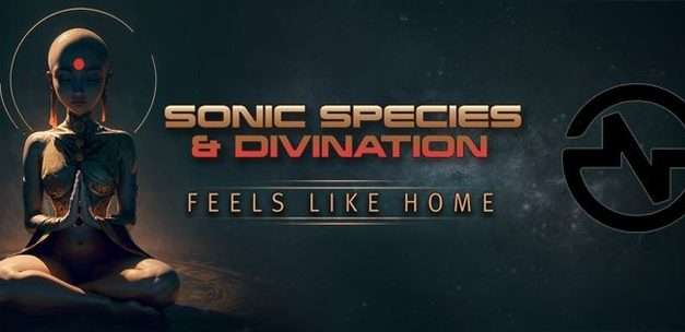 Sonic Species Divination – Feels Like Home