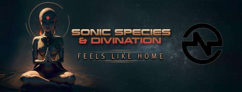 Sonic Species Divination – Feels Like Home